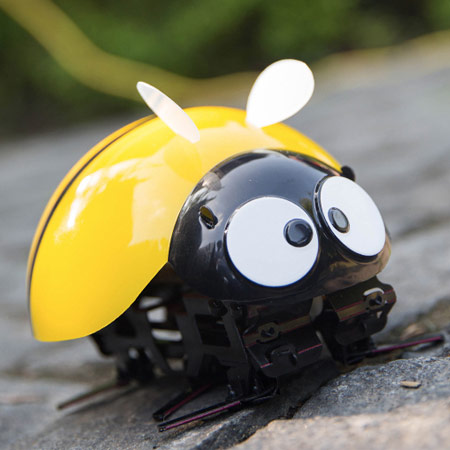智能瓢虫玩具机器人