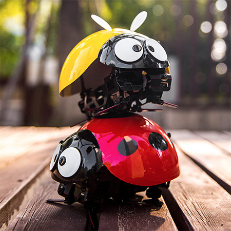 智能瓢虫玩具机器人
