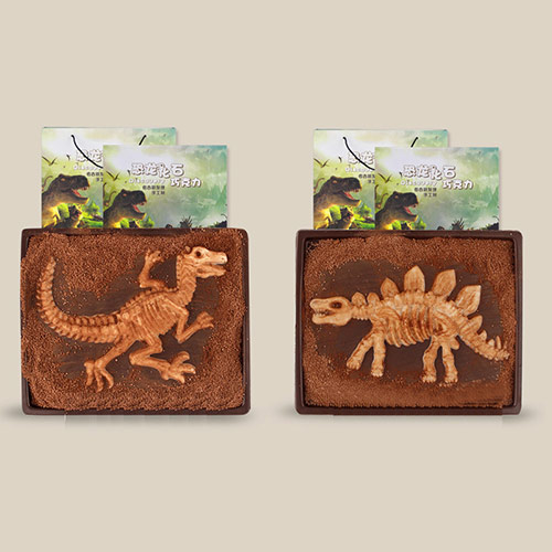 恐龙化石巧克力礼盒