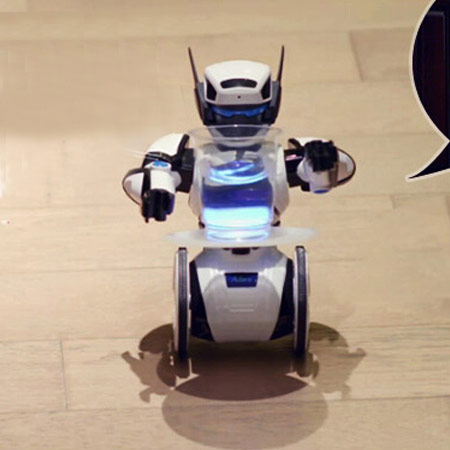 艾力克智能遥控机器人